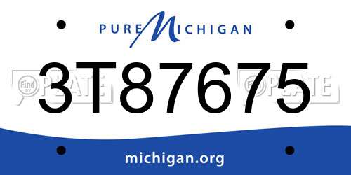 3T87675 Michigan License Plate