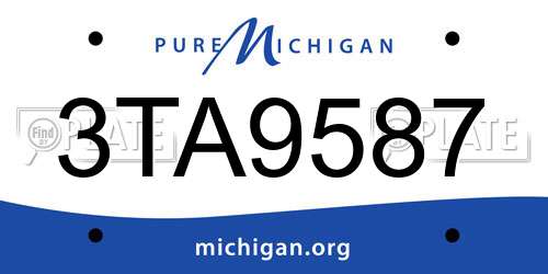 3TA9587 Michigan License Plate