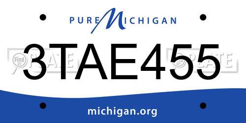 3TAE455 Michigan License Plate