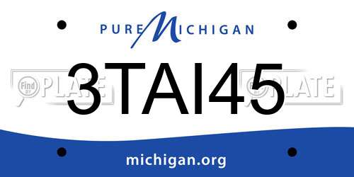 3TAI45 Michigan License Plate