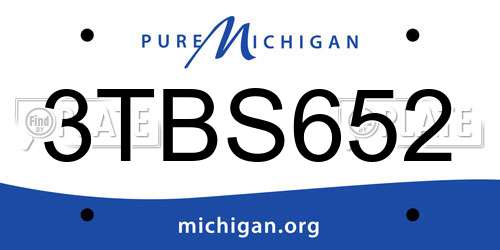3TBS652 Michigan License Plate