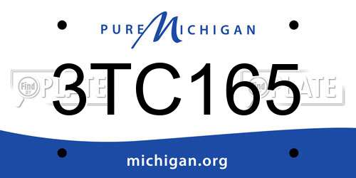 3TC165 Michigan License Plate