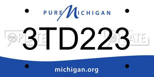 3TD223 Michigan License Plate