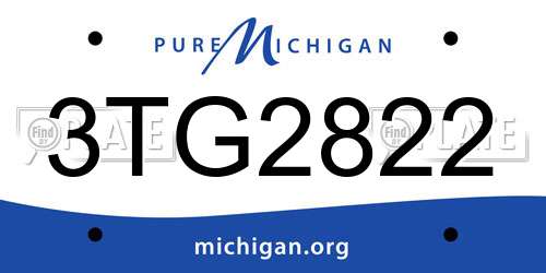 3TG2822 Michigan License Plate
