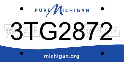 3TG2872 Michigan License Plate