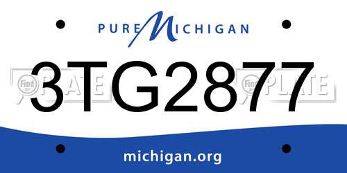 3TG2877 Michigan License Plate