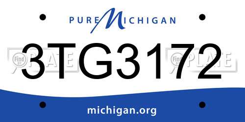 3TG3172 Michigan License Plate