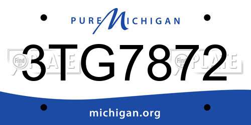 3TG7872 Michigan License Plate