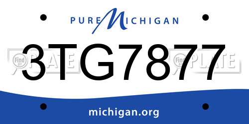 3TG7877 Michigan License Plate