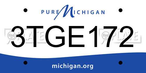 3TGE172 Michigan License Plate