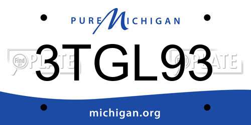 3TGL93 Michigan License Plate