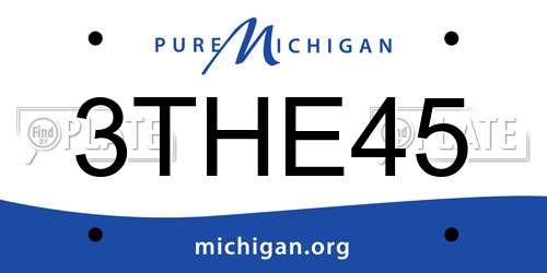 3THE45 Michigan License Plate