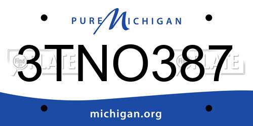 3TNO387 Michigan License Plate