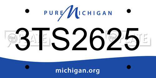 3TS2625 Michigan License Plate