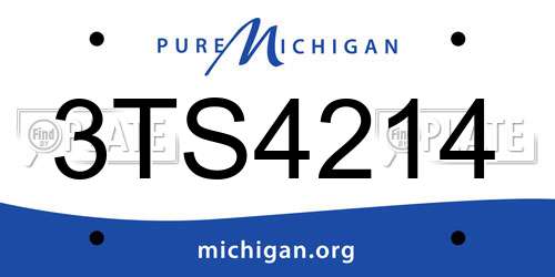 3TS4214 Michigan License Plate