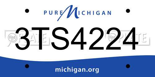 3TS4224 Michigan License Plate
