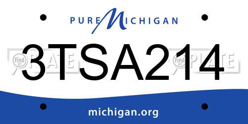 3TSA214 Michigan License Plate