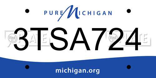 3TSA724 Michigan License Plate