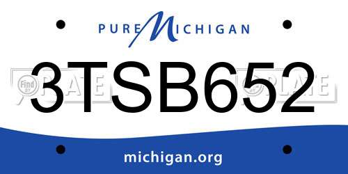 3TSB652 Michigan License Plate