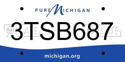 3TSB687 Michigan License Plate
