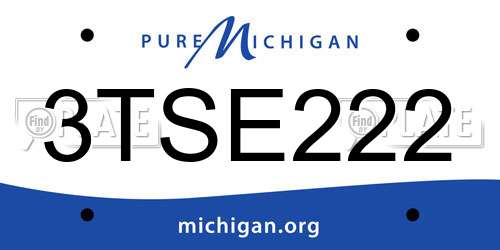 3TSE222 Michigan License Plate