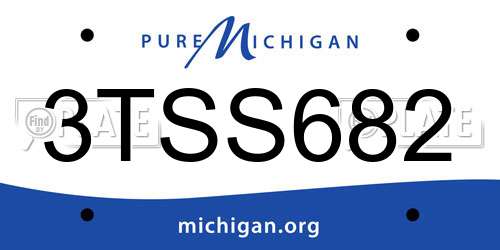 3TSS682 Michigan License Plate