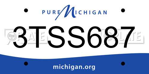 3TSS687 Michigan License Plate