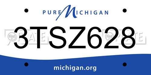 3TSZ628 Michigan License Plate