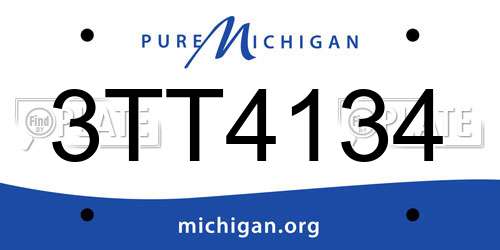 3TT4134 Michigan License Plate