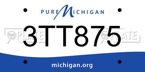 3TT875 Michigan License Plate