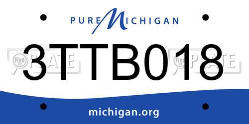 3TTB018 Michigan License Plate