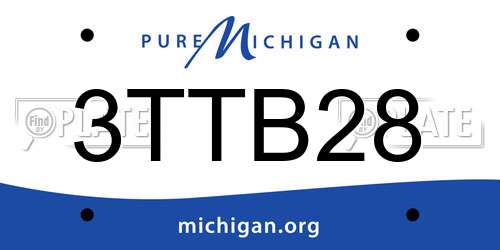 3TTB28 Michigan License Plate