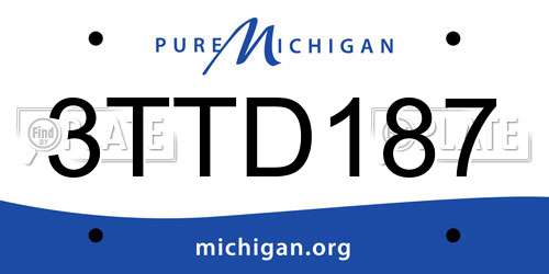 3TTD187 Michigan License Plate