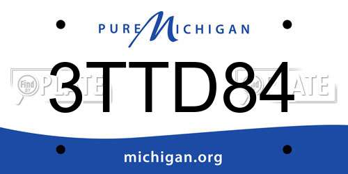 3TTD84 Michigan License Plate