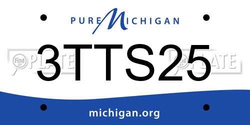 3TTS25 Michigan License Plate