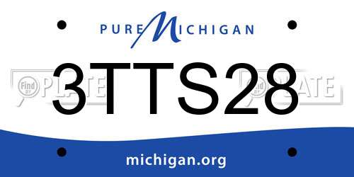 3TTS28 Michigan License Plate