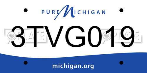 3TVG019 Michigan License Plate
