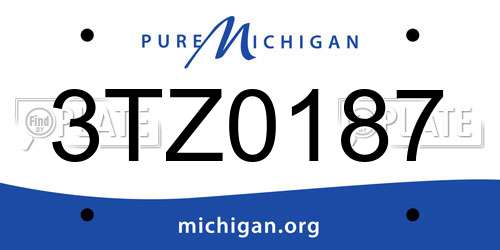 3TZ0187 Michigan License Plate