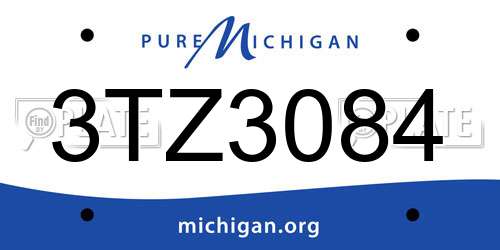 3TZ3084 Michigan License Plate