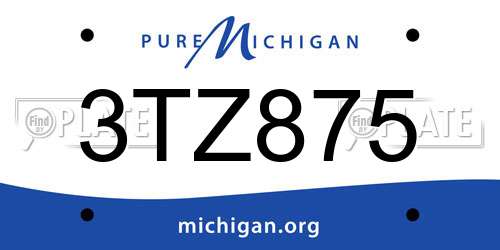 3TZ875 Michigan License Plate