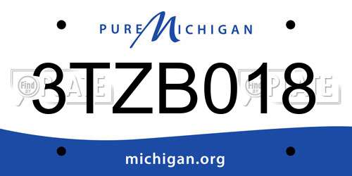 3TZB018 Michigan License Plate