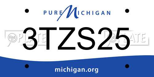 3TZS25 Michigan License Plate