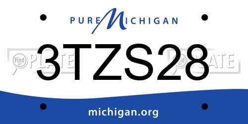 3TZS28 Michigan License Plate