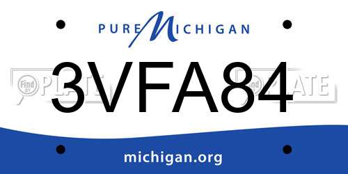 3VFA84 Michigan License Plate