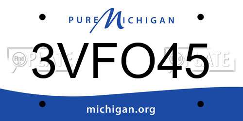 3VFO45 Michigan License Plate