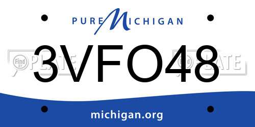 3VFO48 Michigan License Plate