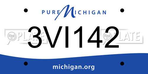3VI142 Michigan License Plate