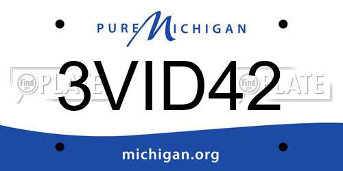 3VID42 Michigan License Plate