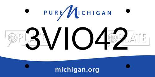 3VIO42 Michigan License Plate