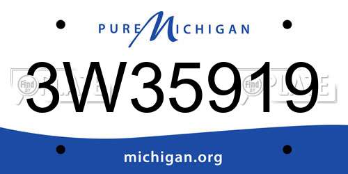 3W35919 Michigan License Plate